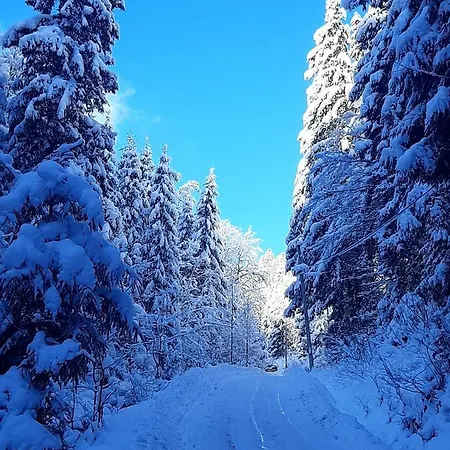 Kır Evi Zatishna Khata Synevyr