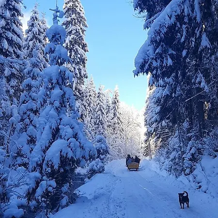 Zatishna Khata * Synevyr