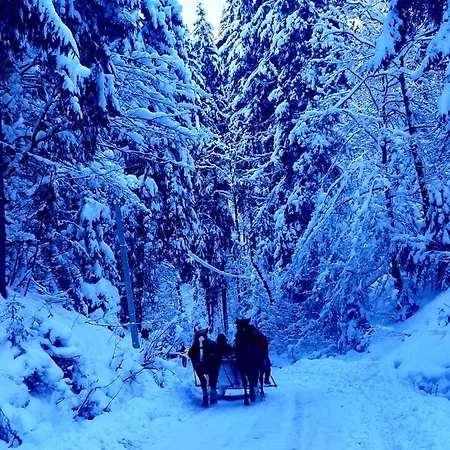 Zatishna Khata Kır Evi *