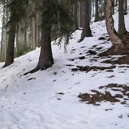 Kır Evi Zatishna Khata Synevyr