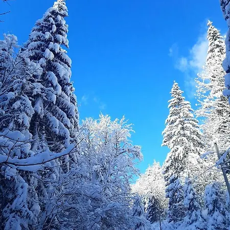 Zatishna Khata Kır Evi