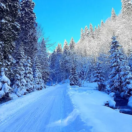 Zatishna Khata Synevyr