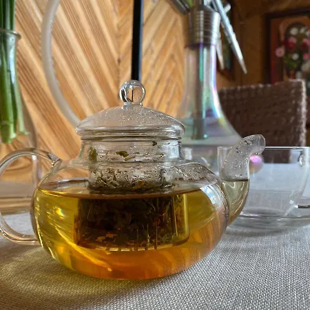 Zatishna Khata Kır Evi Synevyr